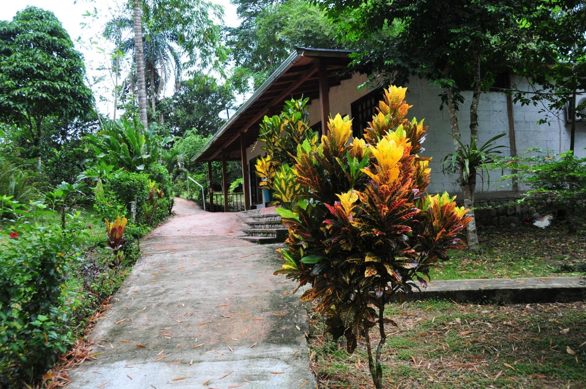 Terra Luna Lodge Tena Exterior foto